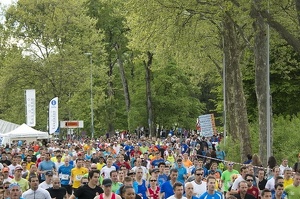 20140426291